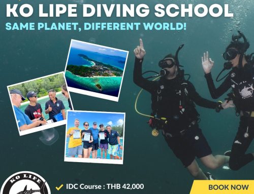 Change your life and become a PADI Instructor