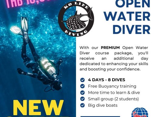 PREMIUM Open Water Diver course